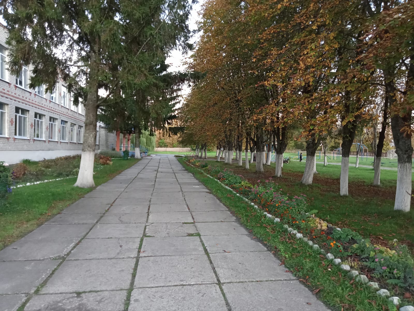 Фотографии школы.